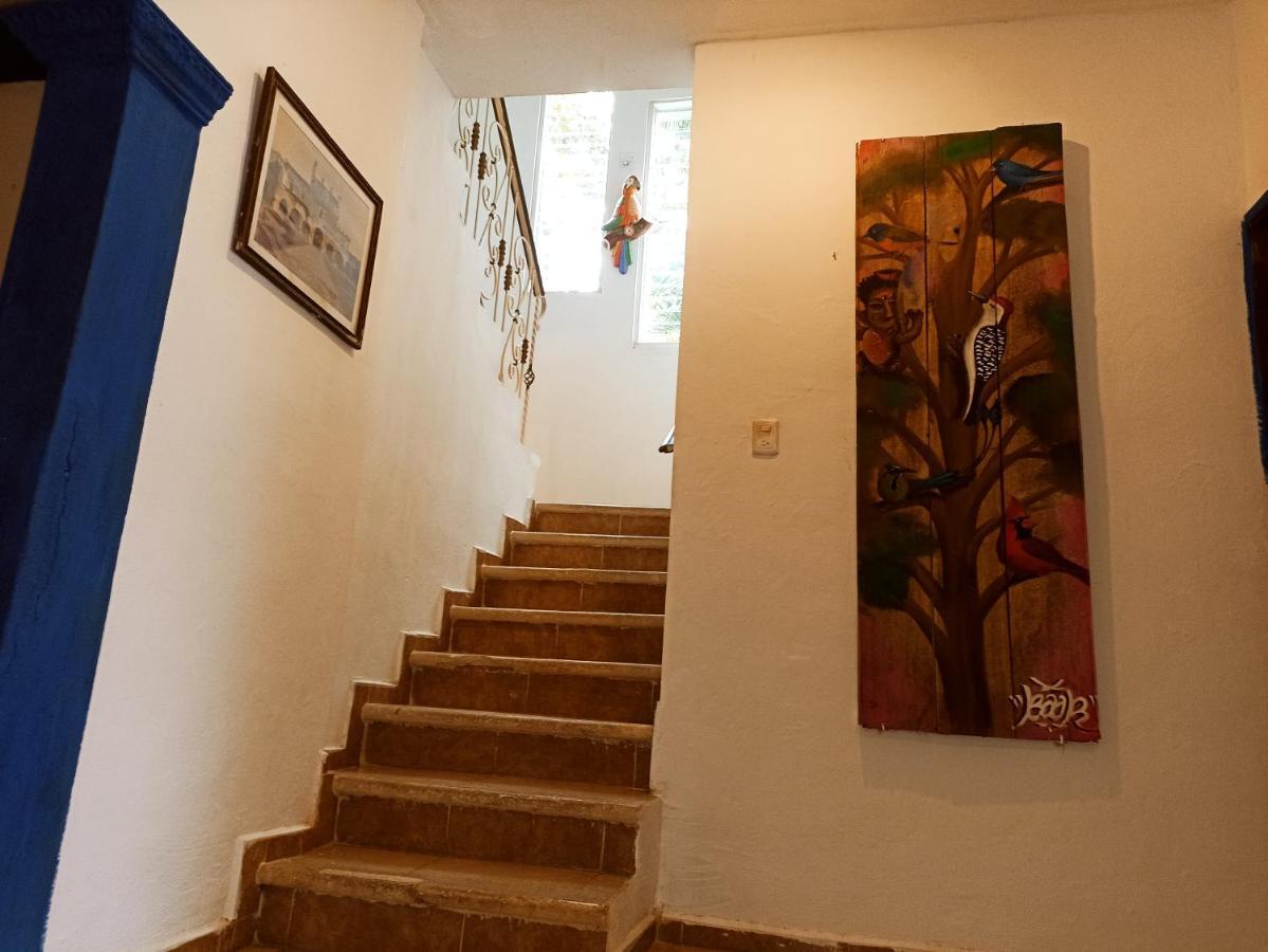 Casa De Los Pajaros - B&B Valladolid  Exterior photo