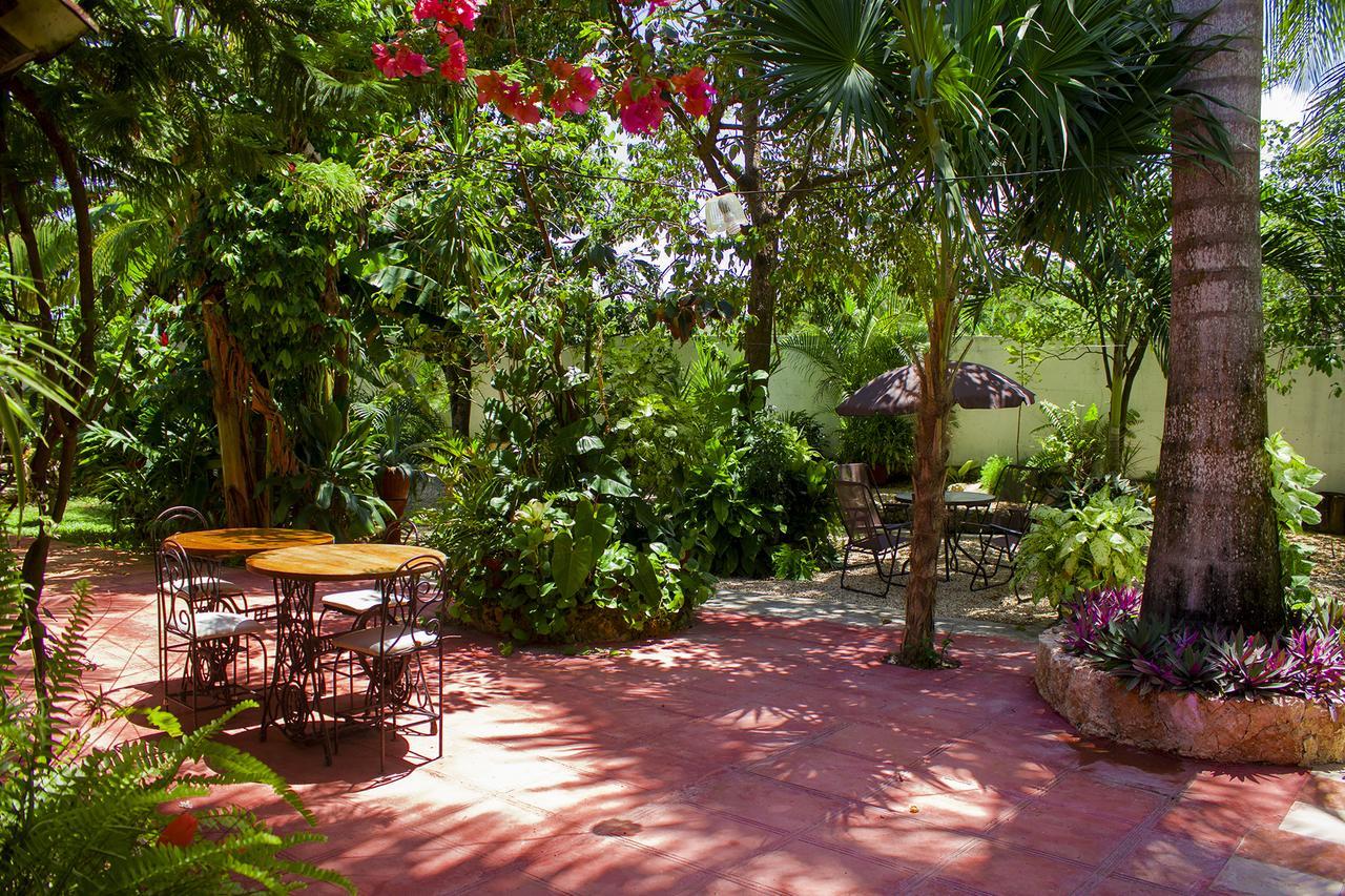 Casa De Los Pajaros - B&B Valladolid  Exterior photo